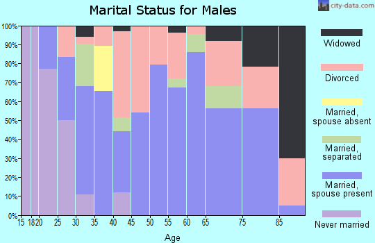 Zip code 74740 marital status for males