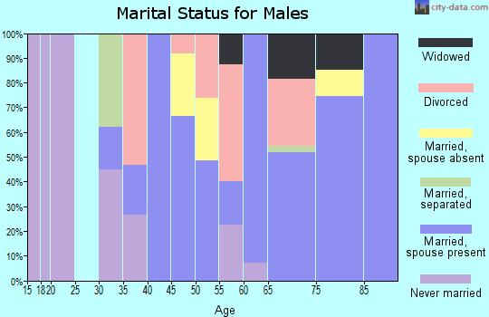 Zip code 74741 marital status for males