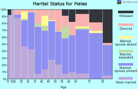 Zip code 74743 marital status for males