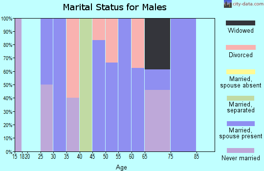 Zip code 74747 marital status for males