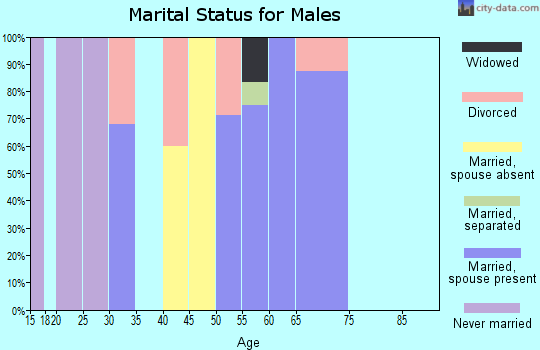 Zip code 74750 marital status for males
