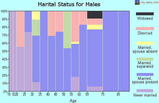 Zip code 74756 marital status for males