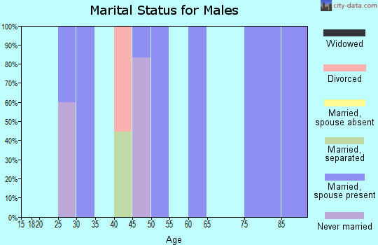 Zip code 74761 marital status for males