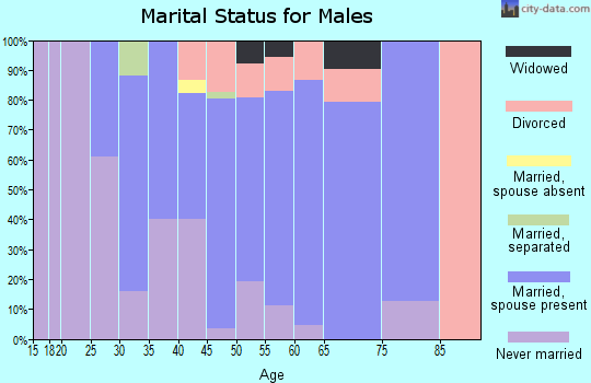 Zip code 74766 marital status for males
