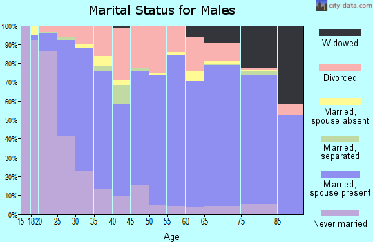 Zip code 74804 marital status for males