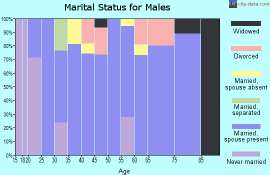 Zip code 74833 marital status for males