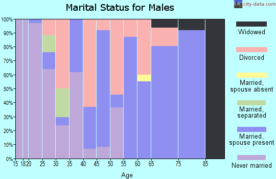 Zip code 74839 marital status for males