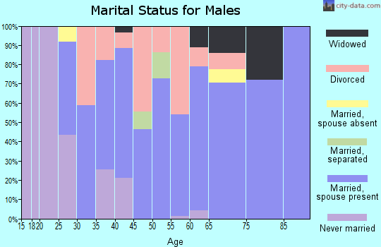 Zip code 74840 marital status for males