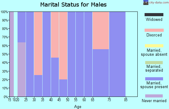Zip code 74843 marital status for males
