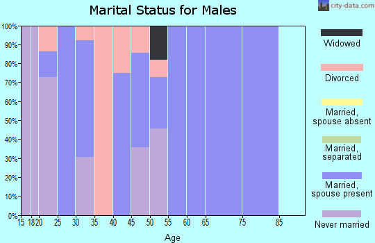 Zip code 74844 marital status for males
