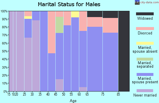 Zip code 74845 marital status for males