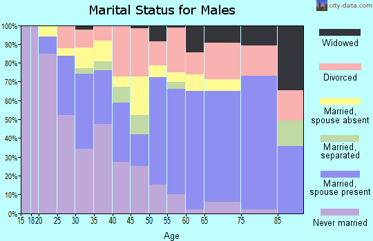 Zip code 74848 marital status for males