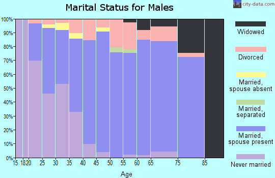 Zip code 74851 marital status for males