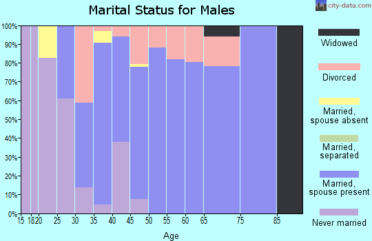 Zip code 74854 marital status for males