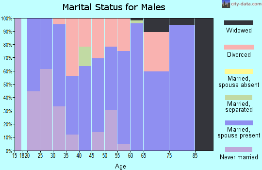 Zip code 74856 marital status for males