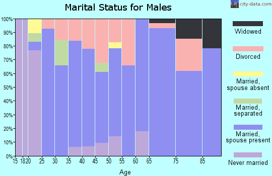 Zip code 74860 marital status for males