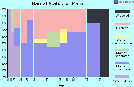 Zip code 74866 marital status for males