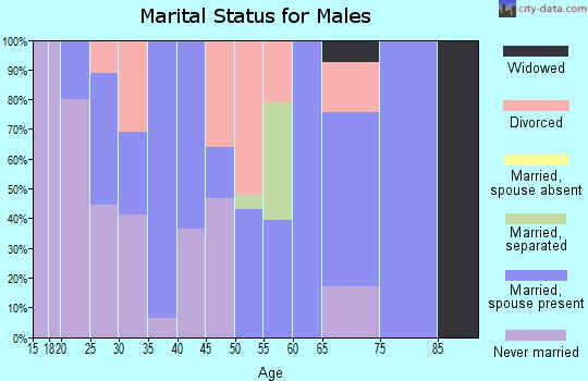 Zip code 74867 marital status for males