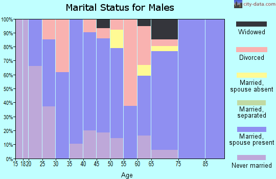 Zip code 74902 marital status for males
