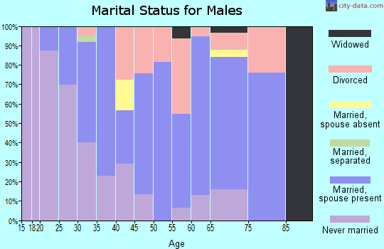 Zip code 74931 marital status for males