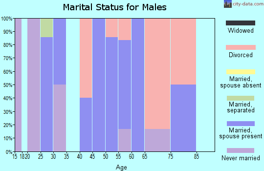 Zip code 74935 marital status for males