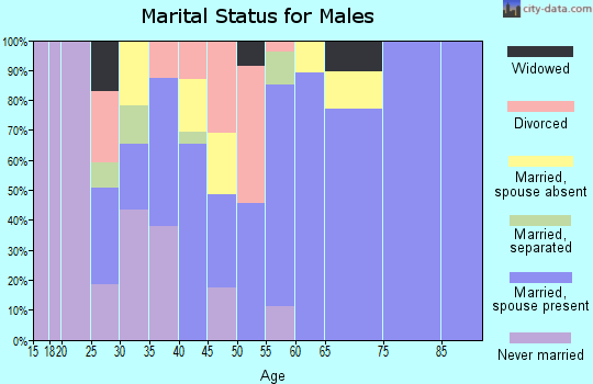 Zip code 74936 marital status for males