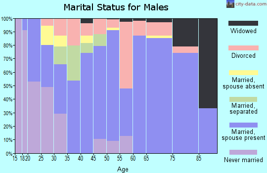 Zip code 74940 marital status for males