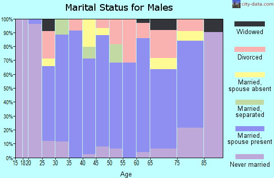 Zip code 74941 marital status for males
