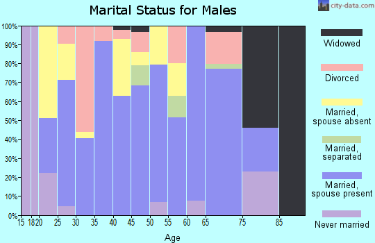 Zip code 74944 marital status for males