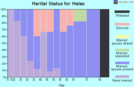Zip code 74945 marital status for males