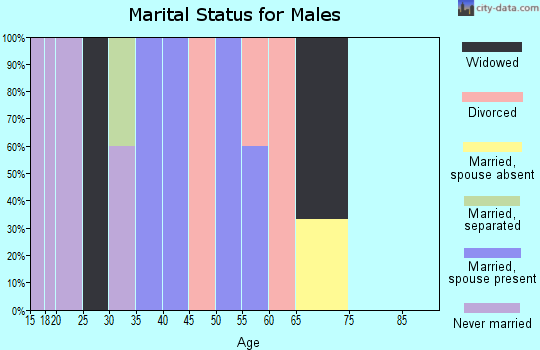 Zip code 74946 marital status for males