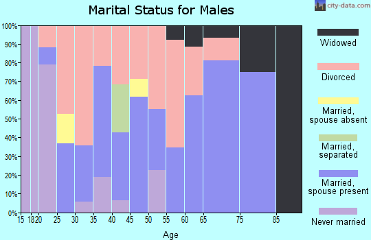 Zip code 74951 marital status for males