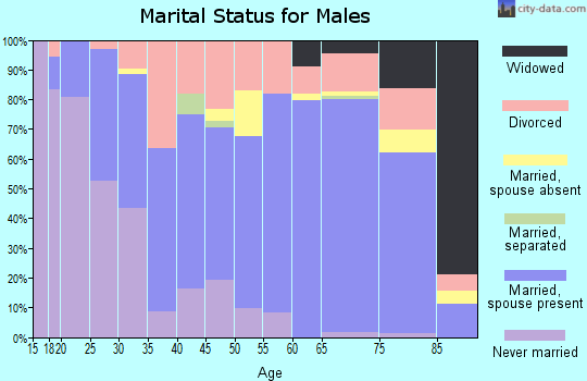 Zip code 74953 marital status for males