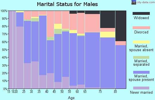 Zip code 74955 marital status for males