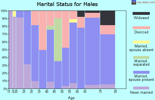 Zip code 74956 marital status for males