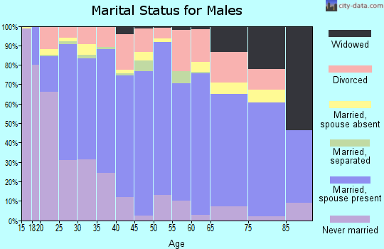 Zip code 74960 marital status for males