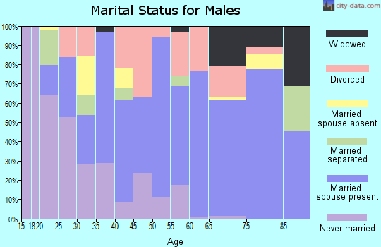 Zip code 74962 marital status for males