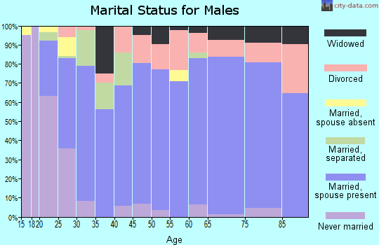 Zip code 74966 marital status for males