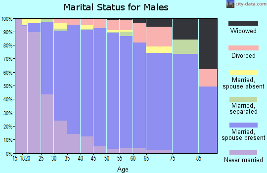Zip code 75019 marital status for males