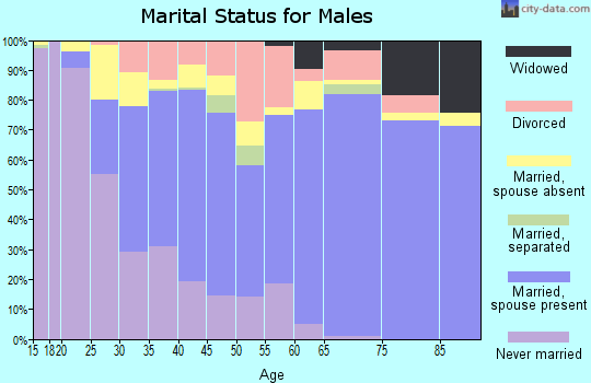 Zip code 75041 marital status for males