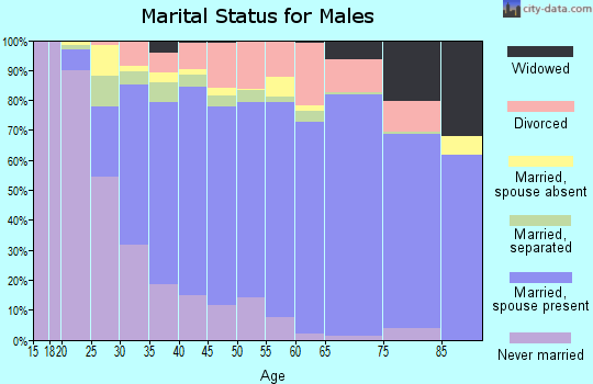 Zip code 75043 marital status for males