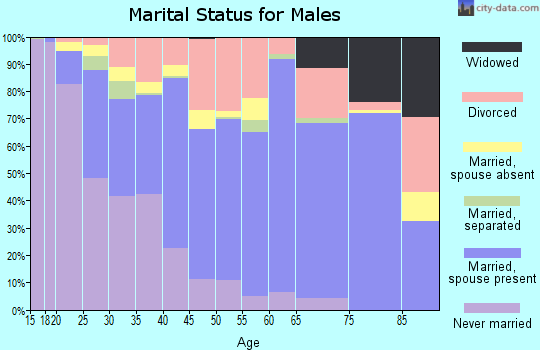 Zip code 75050 marital status for males