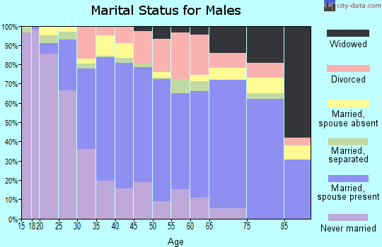 Zip code 75051 marital status for males