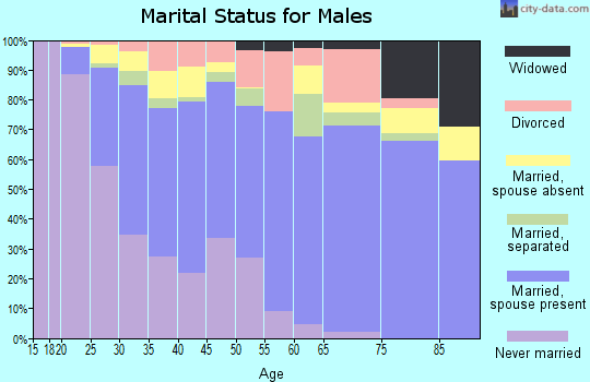 Zip code 75062 marital status for males