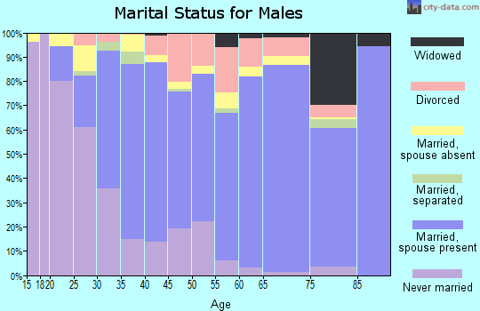 Zip code 75063 marital status for males