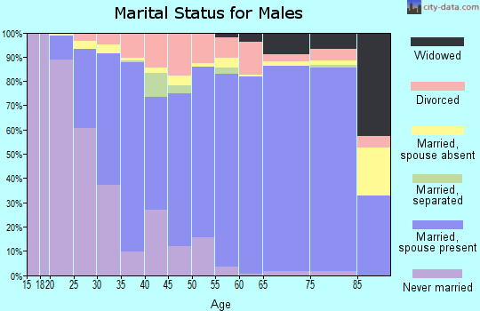 Zip code 75075 marital status for males