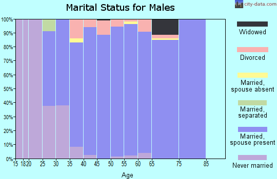 Zip code 75078 marital status for males