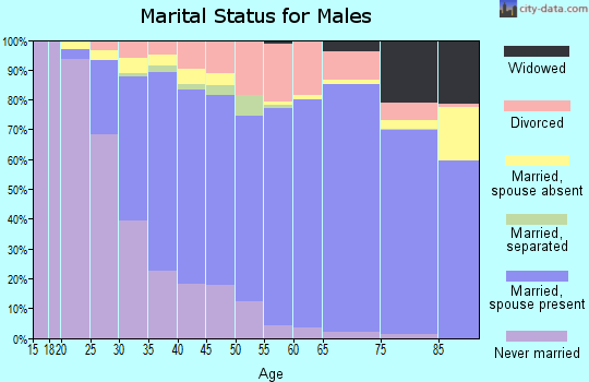 Zip code 75080 marital status for males