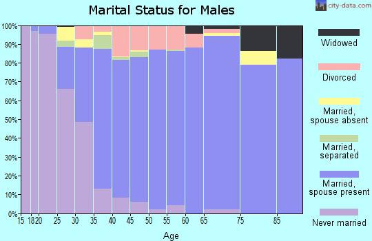 Zip code 75082 marital status for males