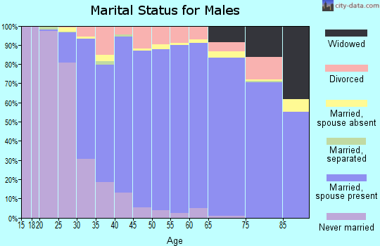 Zip code 75093 marital status for males